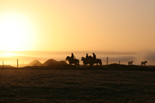 Iceland-East and South-Winter's Treasures